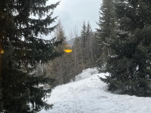 Studio montagne