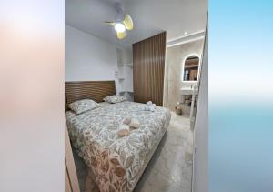 Lolivier du vieil Antibes