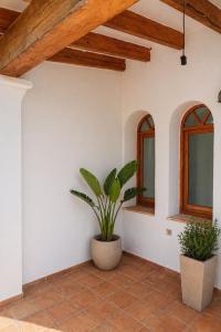 Espectacular villa en ibiza , con piscina privada