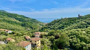 Foglie dArgento