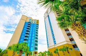 The Gulf Horizon Suite