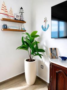 Appartement pieds dans leau Mdiq