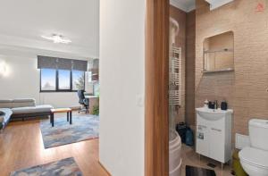 Apartament un Dormitor in Baneasa