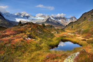 Apart Oberau - new from 2025