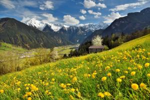 Apart Oberau - new from 2025