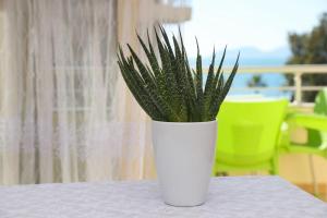 Kleas Apartament