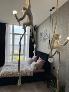 Delmar Apartment Monkeys