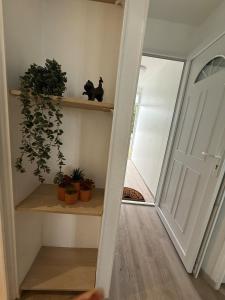 Appartement neuf vue sur mer 2