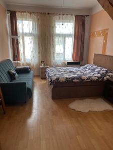 Cozy bright flat in centre