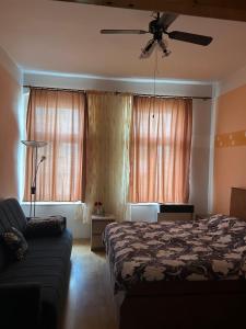 Cozy bright flat in centre