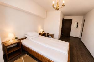 Pensiunea Alpin Marisel Self Check-in