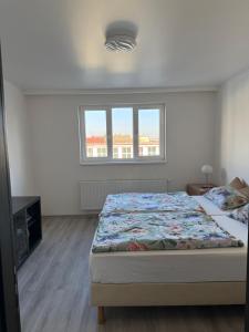 Big Calm Flat in Historical Wenceslas Sq building