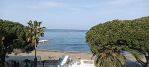 StellinAmare