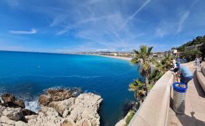 FLEUR- Cosy Studio, 200 Promenade des Anglais et Negresco, wifi, climatisation- calme
