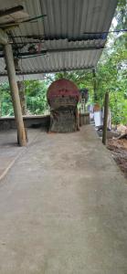 Finca Agroturistica Bellavista