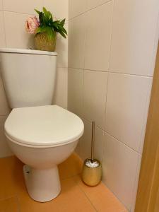 APPOVEL Balkon Studio 6 - Stay Olomouc CZ