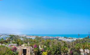 HAMILTON Agadir