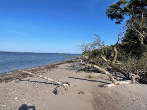5 person holiday home in Roslev