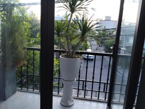 TNs Home