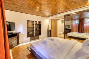 Heart of Domenii - cozy apartment in quiet area