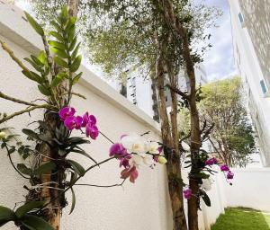 BH Suites 06-402 - Apt 1q South Zone BH - 10 min from Savassi