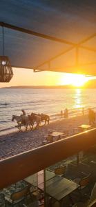 Maralma Bucerias 1 half Blocks from Beach Sleeps 4