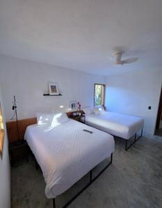 Casa Bougainvillea Steps from the beach and la ria
