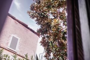 TrastevereHome - Colorful and Relaxing Apartment in Trastevere