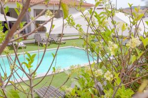 Le dune relax con cucina & piscina img12