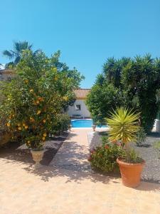 Casa el Olivo