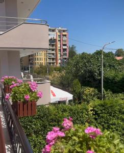 Pogradecs Guest House