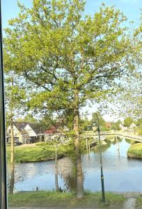 B&B Wetterwille