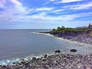 TINA 3B - Alojamento Local - RRAL 760 - Álamos Bravos