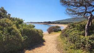 Le Pavoncelle img35