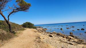 Le Pavoncelle img36