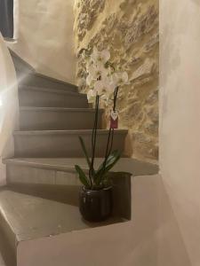 Le Cocon de Caumont