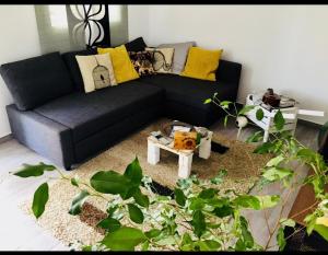 A casa di Andrea