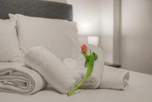 Amelies Stylish City Apartement