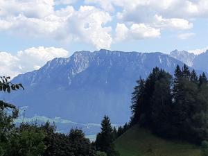 Fewo Alpenpanorama mit Hallenbad