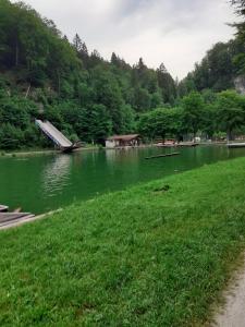 Fewo Alpenpanorama mit Hallenbad