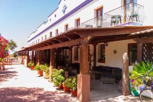 Hotel Stella Del Sud