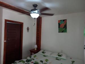Roatan Onat hostel3