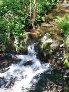 Bâtisse Ardechoise avec piscine