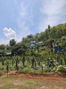 Gatlang Backpackers