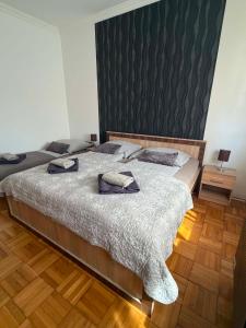Zoya Apartman
