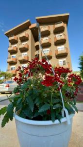 Serxhio Apartments