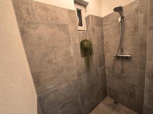 Apartmán u Zeleného Kostela - Stay Olomouc CZ