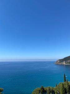 A & M SEA ViEW