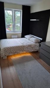Apartament Redykajny