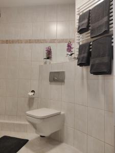 Apartament Redykajny